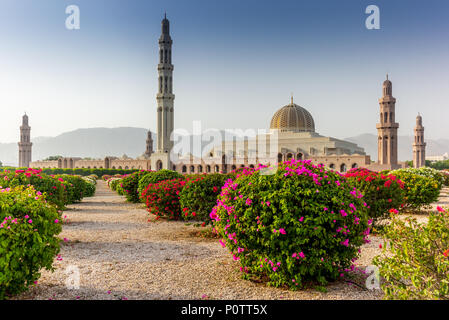 Die geometrische Schönheit von der Muscat Grand Moschee und seinen Garten in den frühen Morgenstunden - 3. Stockfoto