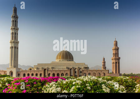 Die geometrische Schönheit von der Muscat Grand Moschee und seinen Garten am frühen Morgen - 14. Stockfoto