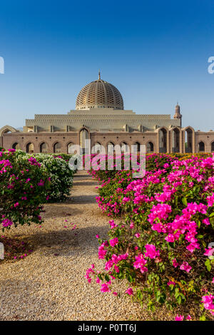 Die geometrische Schönheit von der Muscat Grand Moschee und seinen Garten am frühen Morgen - 17. Stockfoto