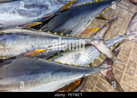 Frische Gelbflossenthun fangen auf dem Fischmarkt in Muscat - 3 Stockfoto