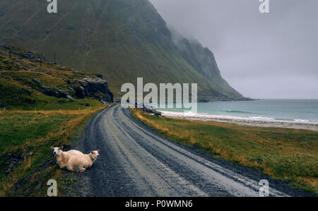 Malerische Straße entlang der Küste in Norwegen an einem verregneten und nebligen Tag Stockfoto