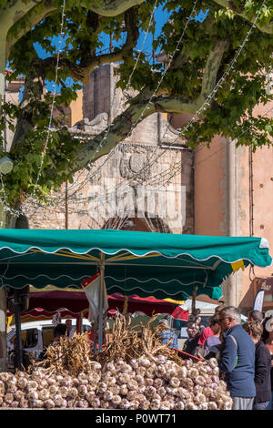 Knoblauch auf die Marktstände Apt Vaucluse Provence-Alpes-Côte d'Azur Frankreich Stockfoto