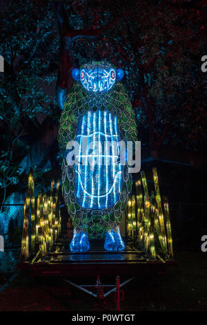 Pangolin am Taronga Zoo für Vivid Sydney 2018 Stockfoto