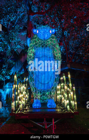 Pangolin am Taronga Zoo für Vivid Sydney 2018 Stockfoto