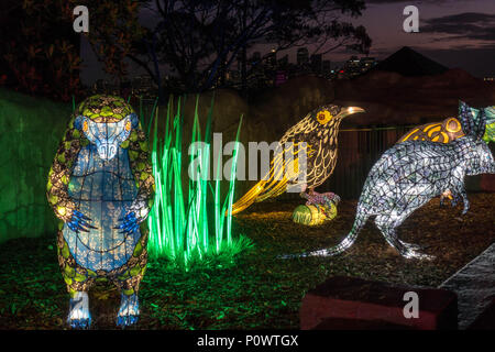 Pangolin, bilby und Regent honeyeater am Taronga Zoo für Vivid Sydney 2018 Stockfoto