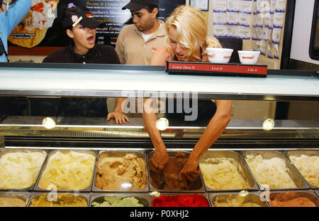 Nicolette Sheridan verleihen ihre Unterstützung zu diesem aktuellen Geldbeschaffungbemühung der Make a Wish Stiftung und wurde Celebrity Server an der Burbank Cold Stone Creamery Store in Los Angeles. April 25, 2005. 11 SheridanNicoletteA Red Carpet Event, Vertikal, USA, Filmindustrie, Prominente, Fotografie, Bestof, Kunst, Kultur und Unterhaltung, Topix Prominente Fashion/Vertikal, Besten, Event in Hollywood Leben - Kalifornien, Roter Teppich und backstage, USA, Film, Stars, Film Stars, TV Stars, Musik, Promis, Fotografie, Bestof, Kunst, Kultur und Unterhaltung, Topi Stockfoto