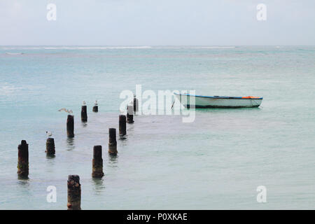 Unterstützung von zerstört Pier, Möwen und Boot. Anse de Sent-An, Pointe-à-Pitre, Guadeloupe Stockfoto