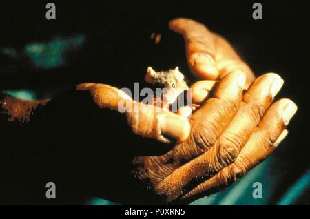 Original Film Titel: THE GREEN MILE. Englischer Titel: THE GREEN MILE. Regisseur: Frank Darabont. Jahr: 1999. Credit: CASTLE ROCK ENTERTAINMENT/Album Stockfoto