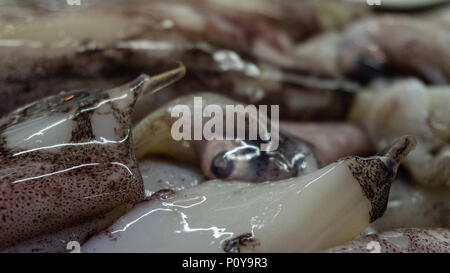 Frische Fische auf dem Fischmarkt, Fisch auf viele Arten von Fisch Stockfoto