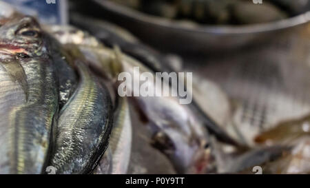 Frische Fische auf dem Fischmarkt, Fisch auf viele Arten von Fisch Stockfoto