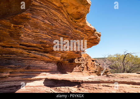 Kalkstein im Kings Canyon in der Nothern Territory, Australien. Stockfoto