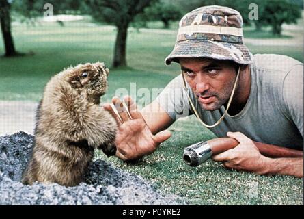 Original Filmtitel: CADDYSHACK. Englischer Titel: CADDYSHACK. Regisseur: Harold Ramis. Jahr: 1980. Stars: Bill Murray. Quelle: Warner/ORION/Album Stockfoto