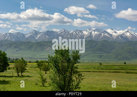 Blick auf die Berge von Buranaturm, Tokmok, Kirgisistan Stockfoto