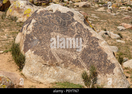 Petroglyph in Stein Garten, Cholpon Ata, Kirgisistan Stockfoto