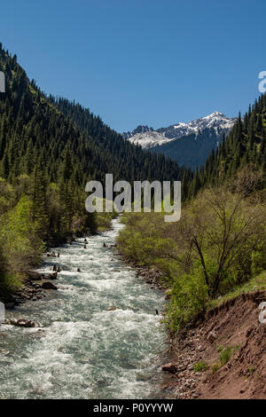 Fluss in Jety Oguz Schlucht, in der Nähe von Karakol, Kirgisistan Stockfoto