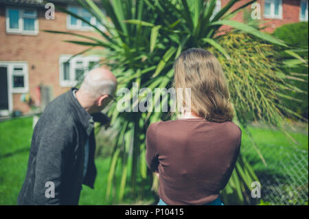 Ein älterer Mann und junge Frau in einem Garten auf einer Palme zeigen Stockfoto
