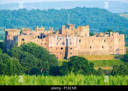 Raglan Castle, Wales, UK. Foto an einem Sommerabend von einer öffentlichen Straße genommen. Stockfoto