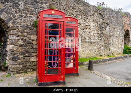 Der tuffed" Ausstellung in der K6 Galerie in Southampton, wird auf dem Display in zwei Denkmalgeschützten roten Telefonzellen, Southampton, England, Großbritannien Stockfoto
