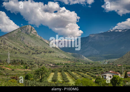 Sicht des Pollino Massiv in Pollino Nat Park, südlichen Apennin, Olivenhain im Vordergrund, von der Straße 241 in der Nähe von Castrovillari, Kalabrien, Italien Stockfoto