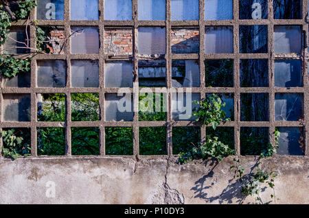 Shattered Glas in einem alten industriellen Fabrik in schlechtem Zustand in der Mailand, Italien Stockfoto