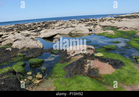 Neue aberdour Strand Stockfoto