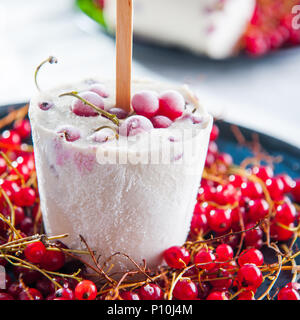 Hausgemachtes Eis Eis am Stiel mit rote Johannisbeere in der Platte mit frischen Beeren. Close Up, selektiver Fokus Stockfoto