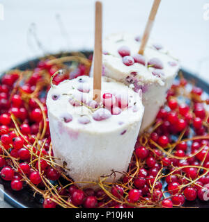 Hausgemachtes Eis Eis am Stiel mit rote Johannisbeere in der Platte mit frischen Beeren. Close Up, selektiver Fokus Stockfoto