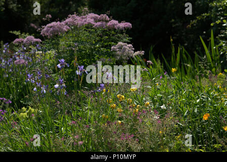 Schottische Landschaftsgarten im Frühjahr Stockfoto