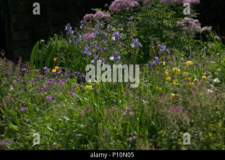 Schottische Landschaftsgarten im Frühjahr Stockfoto