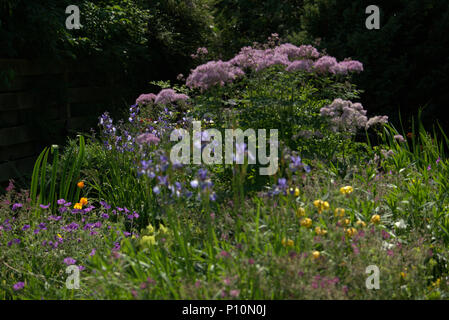 Schottische Landschaftsgarten im Frühjahr Stockfoto