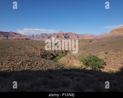 Die Tonto Trail zwischen Indian Garden Campground und Horn Creek im Grand Canyon National Park, Arizona. Stockfoto