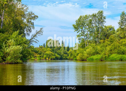 Sommer in Sibirien. Stockfoto