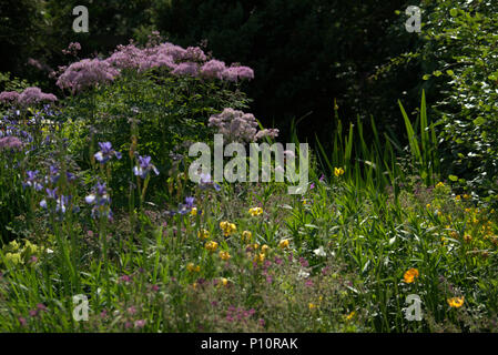 Schottische Landschaftsgarten im Frühjahr Stockfoto