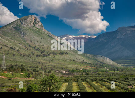 Sicht des Pollino Massiv in Pollino Nat Park, südlichen Apennin, Olivenhain im Vordergrund, von der Straße 241 in der Nähe von Castrovillari, Kalabrien, Italien Stockfoto