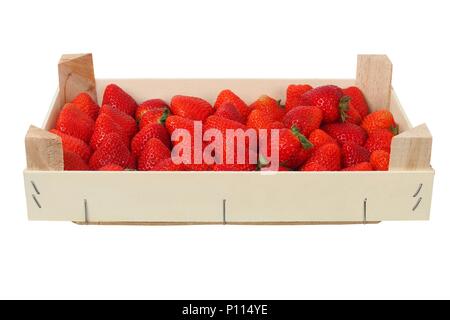 Erdbeeren im Holzkasten, auf weißem Hintergrund Stockfoto