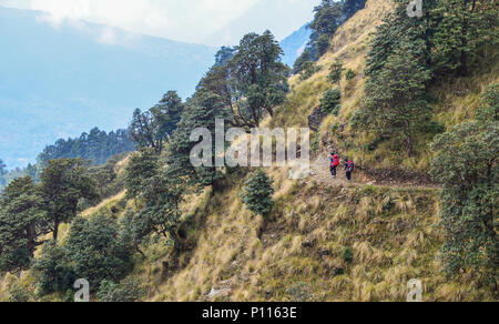 Ein paar mit Rucksack zu Fuß auf den Weg des Annapurna Circuit Trekking in Khopra, Nepal. Stockfoto