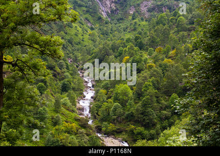 Kleines süßes versteckten Wasserfall in Wild Mountain Natur Stockfoto