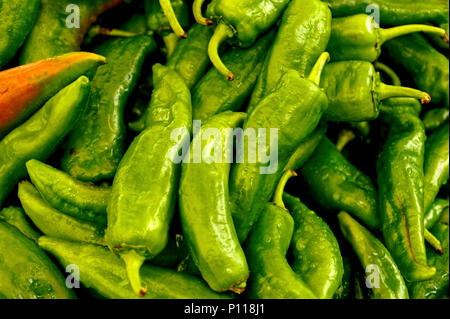 grüne Paprika Stockfoto