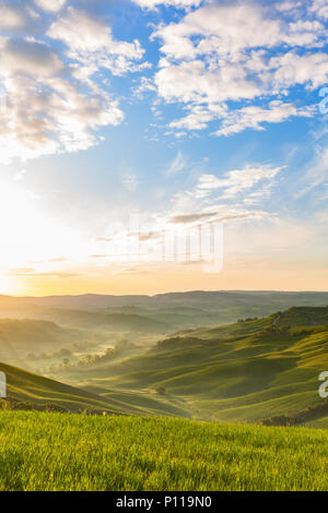 Sonnenaufgang in den sanften Hügeln mit Nebel im Tal Stockfoto