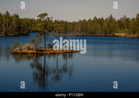 Tiresta durch National Park in der Nähe der Stadt Stockholm Stockfoto