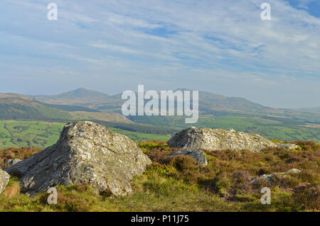 Arenigs Fach und Fawr von Aran Fawddwy Stockfoto