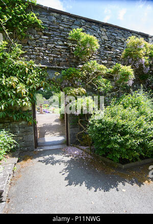 Holehird Gardens ist eine umfangreiche, 10 Hektar großen Gelände in der Nähe von Windermere, Cumbria, England. Es ist die Heimat der Lakeland Gartenbaugesellschaft Stockfoto