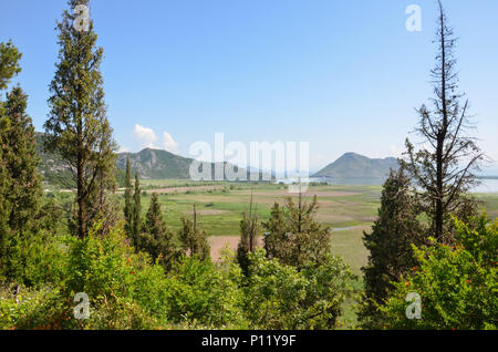 Blick auf den Lake Skadar aus der Nähe von Besac Schloss, Virpazar, Skadarsee, Montenegro, Juni 2018 Stockfoto