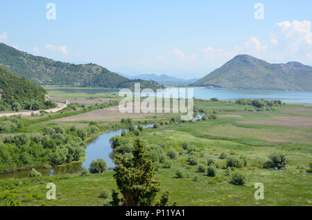 Blick auf den Lake Skadar von Virpazar, Skadarsee, Montenegro, Juni 2018 Stockfoto