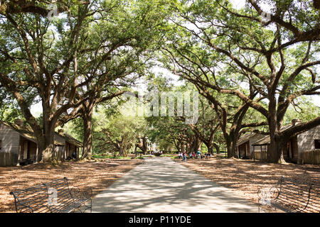 Restaurierte sklavenvierteln am Oak Alley Plantation in Vacherie, Louisiana, USA. Stockfoto