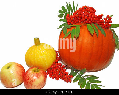Herbst pflanzliche Zusammensetzung. Kürbisse mit Bündel von Rowan und Äpfeln dekoriert Stockfoto