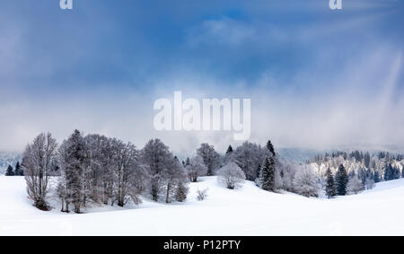 Winterlandschaft, gefrorene Bäume im Winter, Mont Salève, Archamps, Frankreich Stockfoto