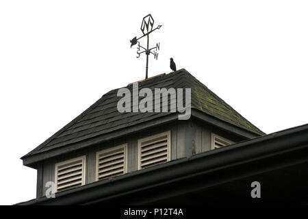 Windfahne auf dem Dach Stockfoto