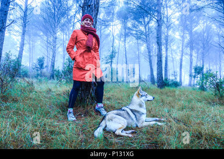 Frau, die in einem Pinienwald mit einem Tschechoslowakischen Wolfshund. Tierra Estella County, Navarra, Spanien, Europa. Stockfoto