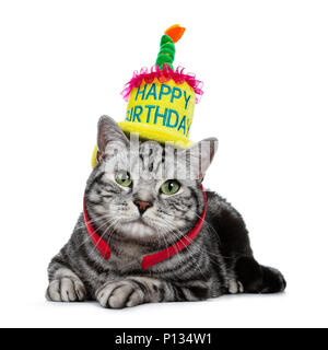Schön schwarz tabby Britisch Kurzhaar Katze mit grünen zur Festlegung trägt einen gelben happy birthday Hut auf weißem Hintergrund Stockfoto